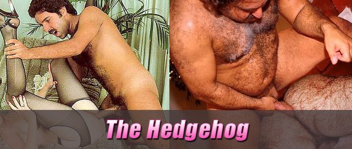 best of Nudes hot ron jeremy solo