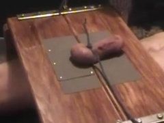 Rooster reccomend futas cock and ball torture