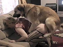 Rooster reccomend guy and dog sex