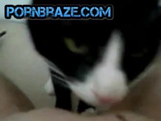 Champ reccomend video cat lick pussy