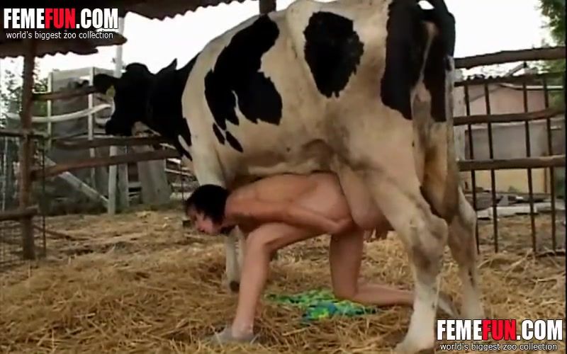 Girls fucked by cow - Sex photo