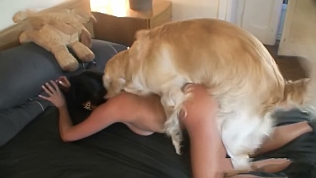 Cums in pussy dog Anonymous girl