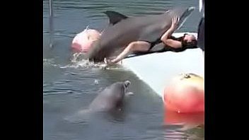 Mushroom recommend best of its trainer female dolphin fucks naked