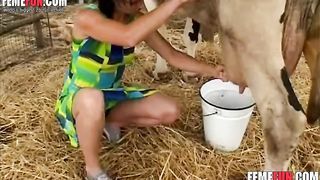 best of Fucking real a cow with pictures of pussy girl