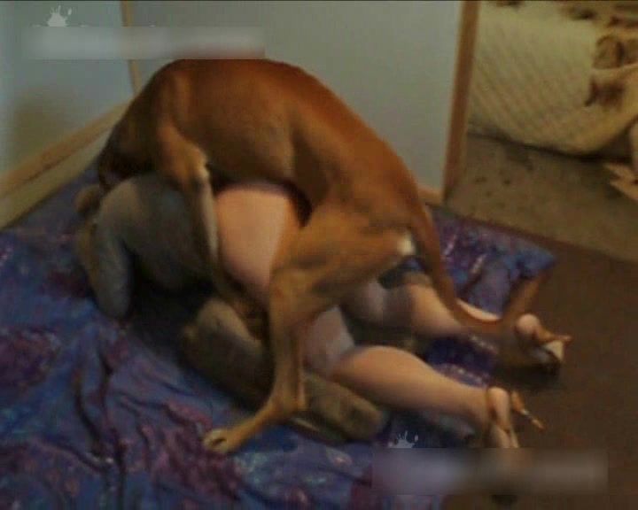 Women having sex with aminals