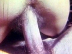 Wishbone reccomend Senior sex with hairy pussies