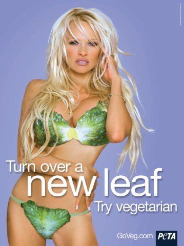 Stopper reccomend Peta lettuce bikini portia de rossi