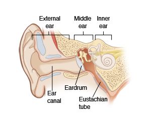 best of Adults earache in Causes of