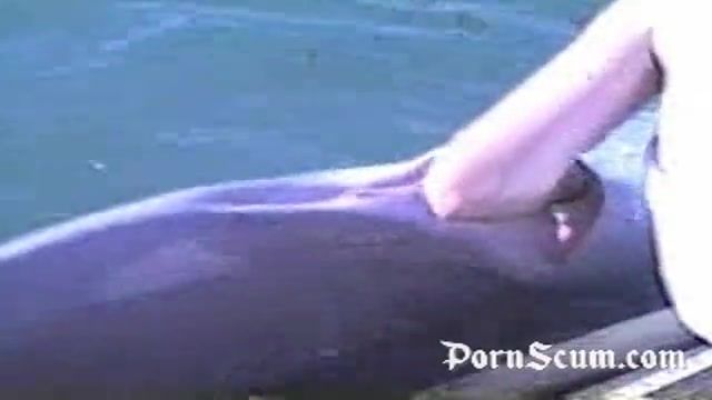 best of Vid Fucking dolphin