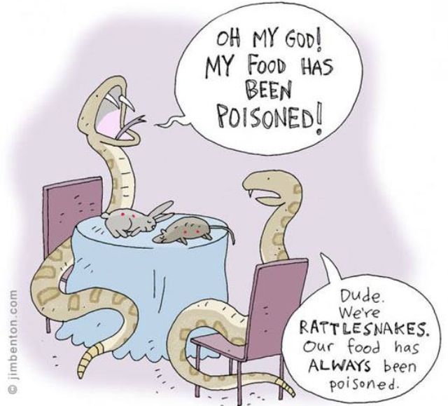 best of Jokes Rattle snake
