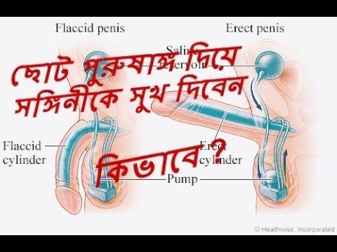 best of Small panies sex Bangla