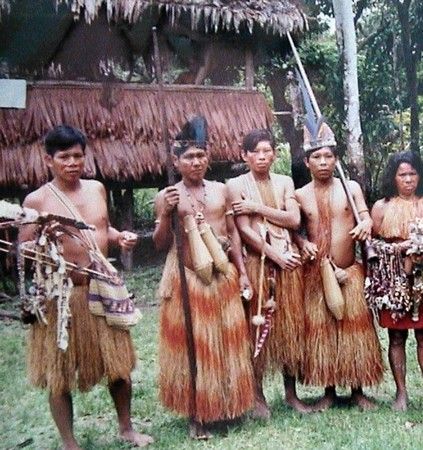 Amazon Tribal Women Tribe Girls Nude