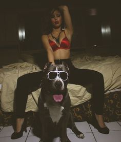 Hot girls with pit bulls - Adult videos