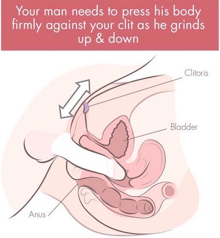 The clitoris and orgasam