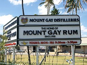 Mount gay rum tour barbados