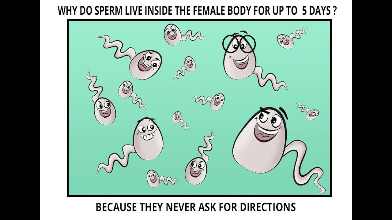 best of Sperm woman long Can inside live