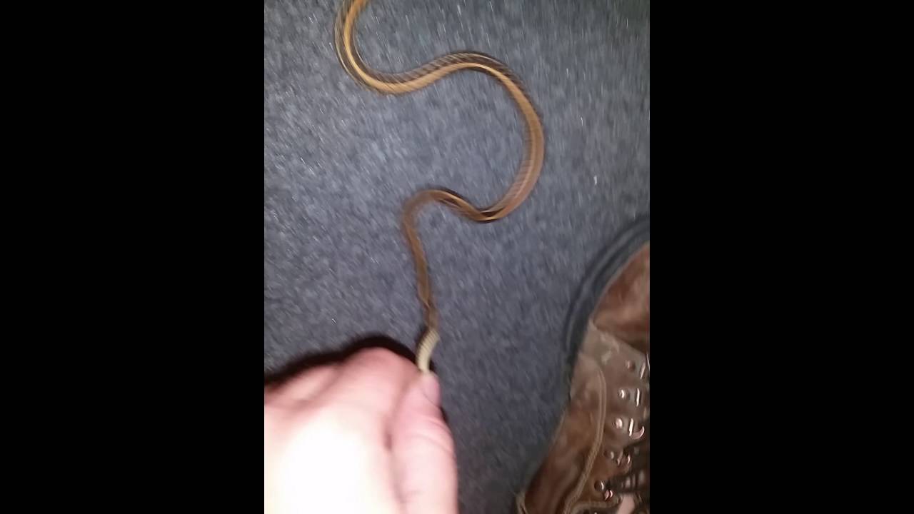 best of In pussy Snakes the