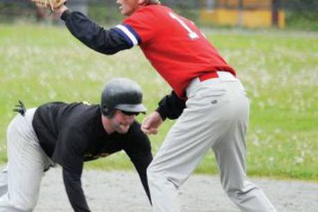 Newfoundland amateur baseball association