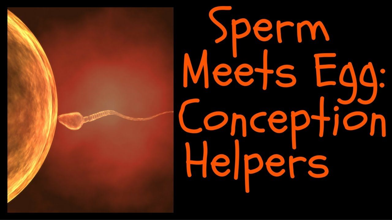 best of Conception Sperm in