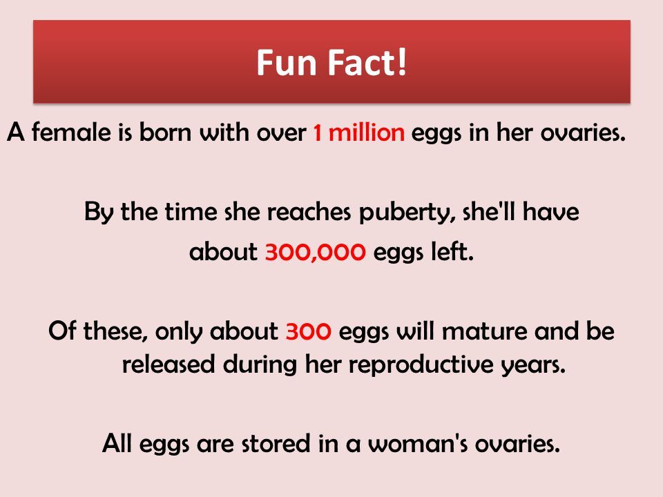 Reproductive system fun facts