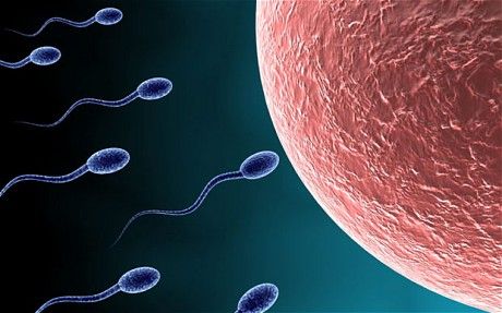 Twix reccomend Women produce sperm