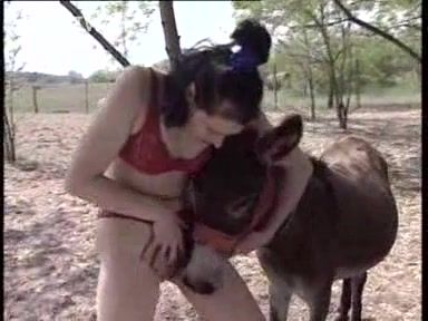 Donkey Women Porno
