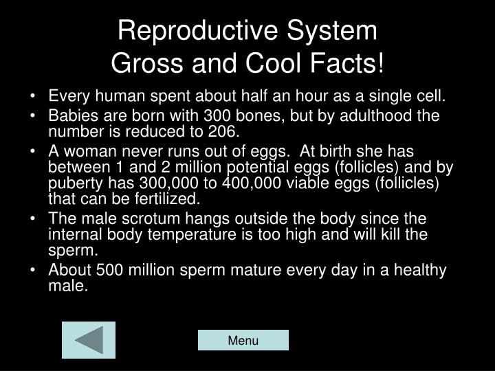Starfire reccomend Reproductive system fun facts