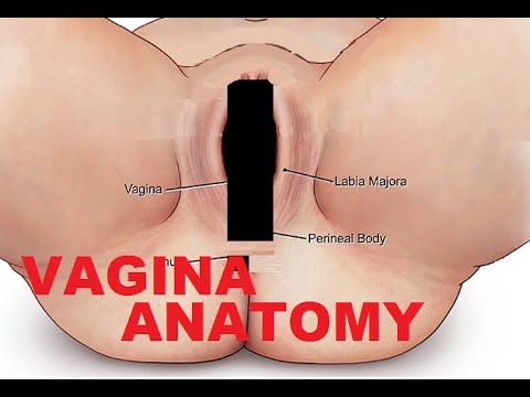 best of Womens Pictures vulva