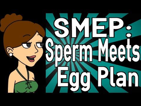 best of Plan Sperm meets egg