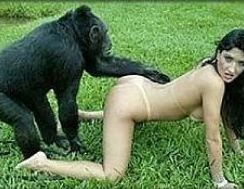 Monkey girl fucks Sex with
