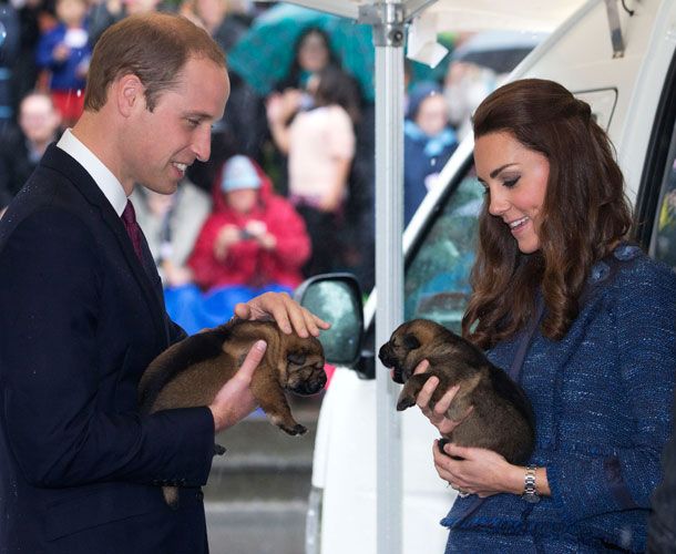 William and kate in new zealand