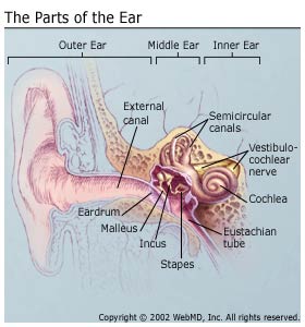 Causes of earache in adults