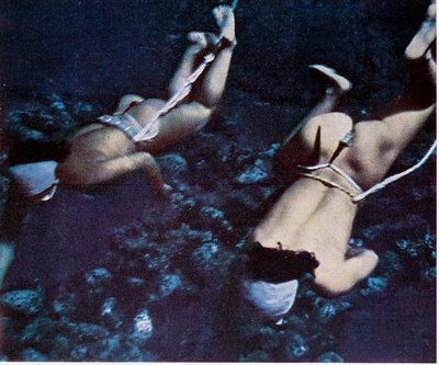 best of Story erotic Pearl diving