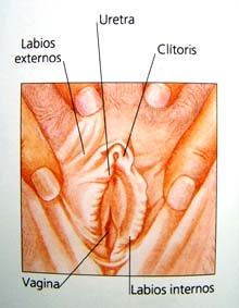 Tocar el clitoris