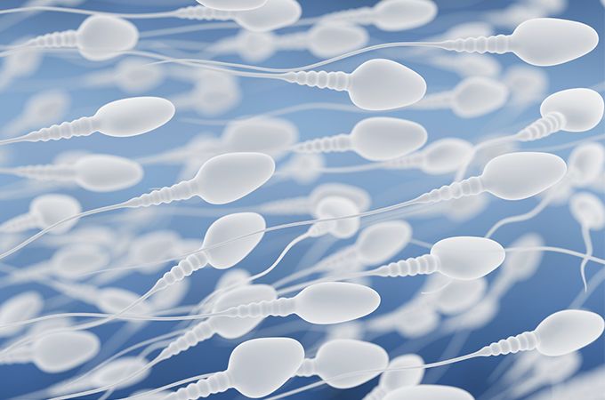 best of Reversal Low sperm count