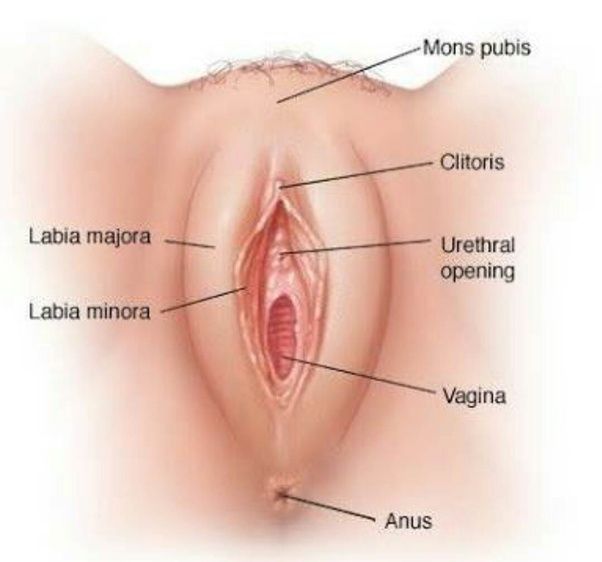 Cheeto reccomend Vaginal bleeding rough sex