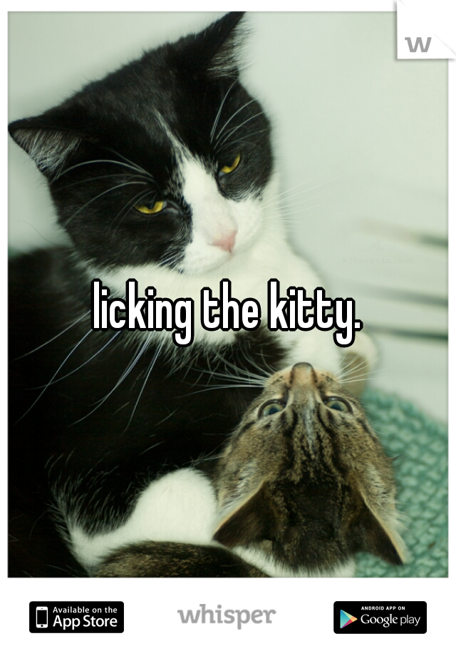 Fumble reccomend Licking the kitty