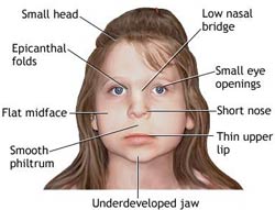 Description facial features