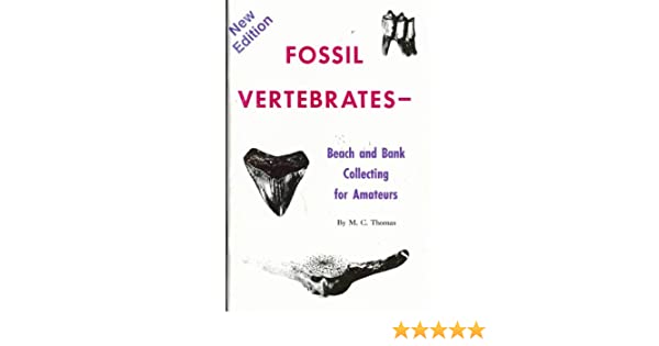 Amateur bank beach collecting fossil vertebrate