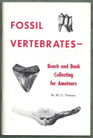 Mazda reccomend Amateur bank beach collecting fossil vertebrate