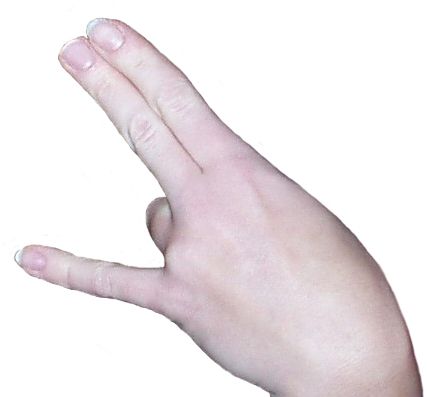 Sex hand sign