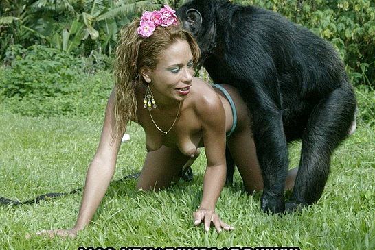 Monkey porn animal Animal Porn
