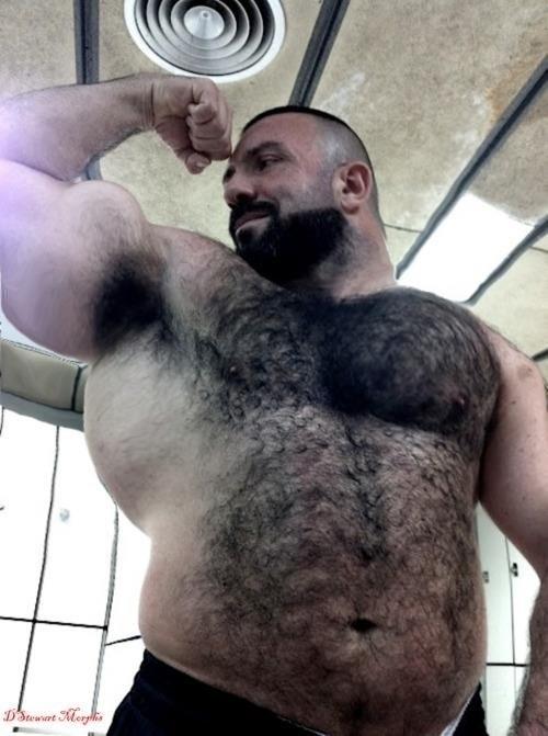 Bear hairy muscle