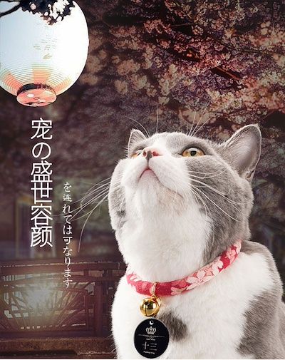 Gridiron reccomend Asian cat collar
