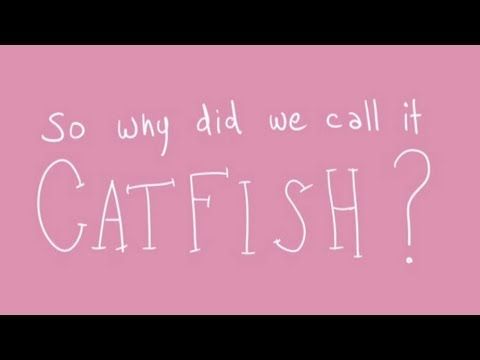 Slate reccomend What does cat fishing mean