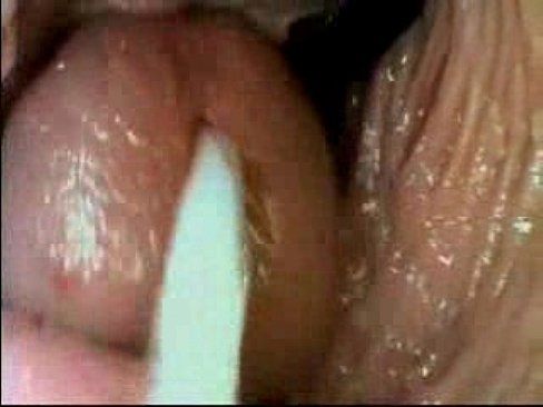 Vet reccomend View of penis inside vagina
