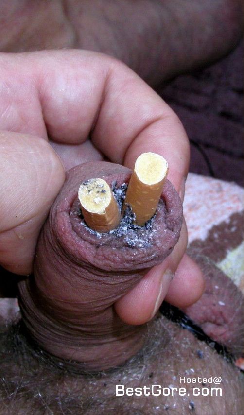 Cock stuffing tobacco