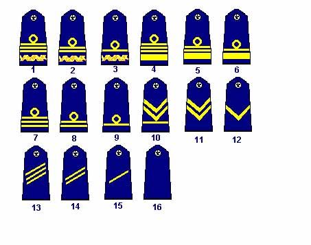 8-track reccomend Polish army rank insignia