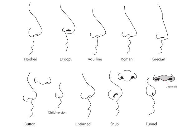 best of Facial features Description
