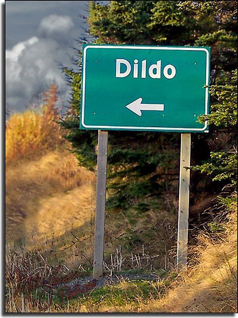 Cali reccomend Dildo newfoundland and labrador